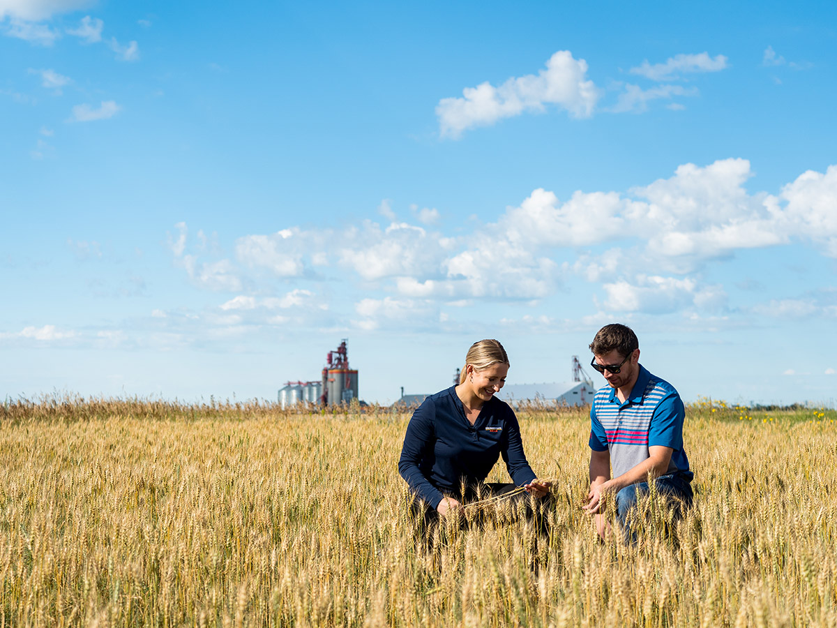 Agronomist and Grower in Field with Richardson Pioneer Elevator in Background