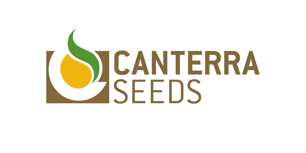 Canterra Seeds